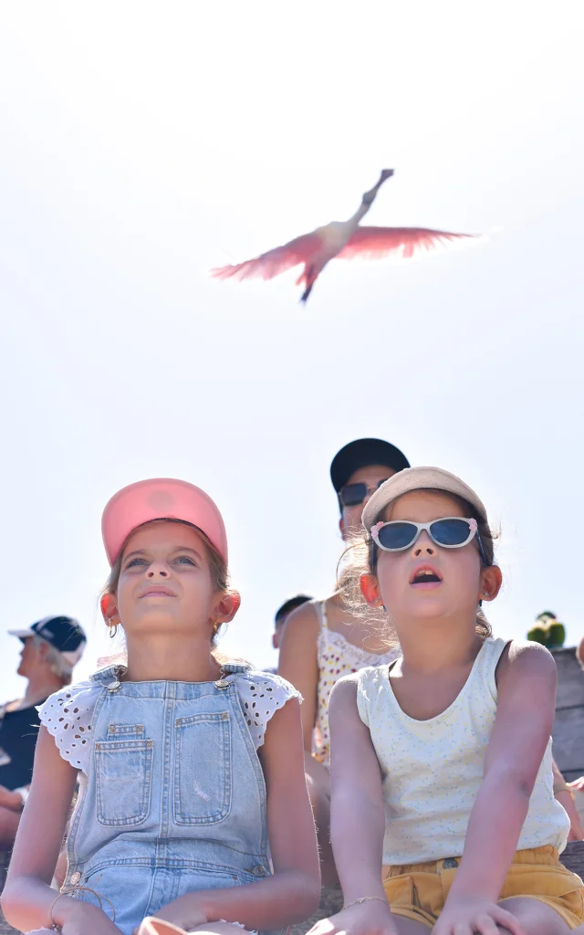Parc des Oiseaux