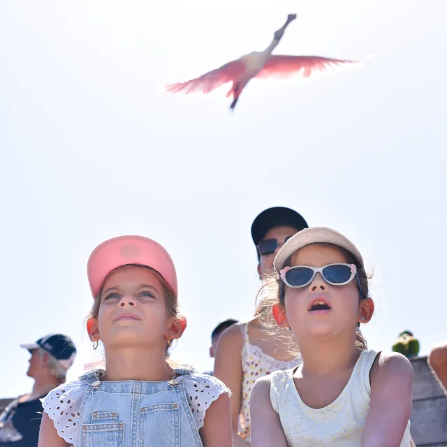 Parc des Oiseaux