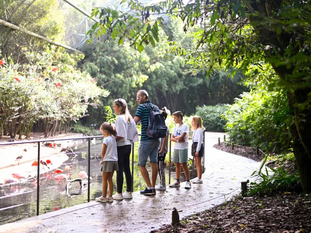 Parc des Oiseaux