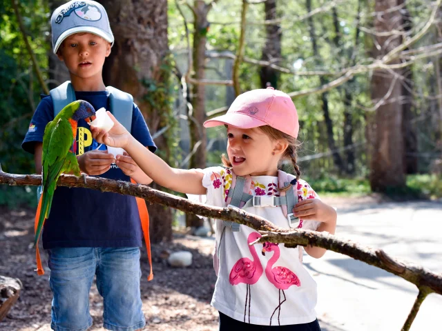Parc des Oiseaux