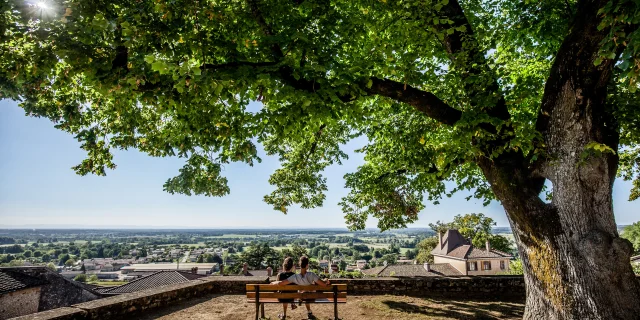 Village de Treffort