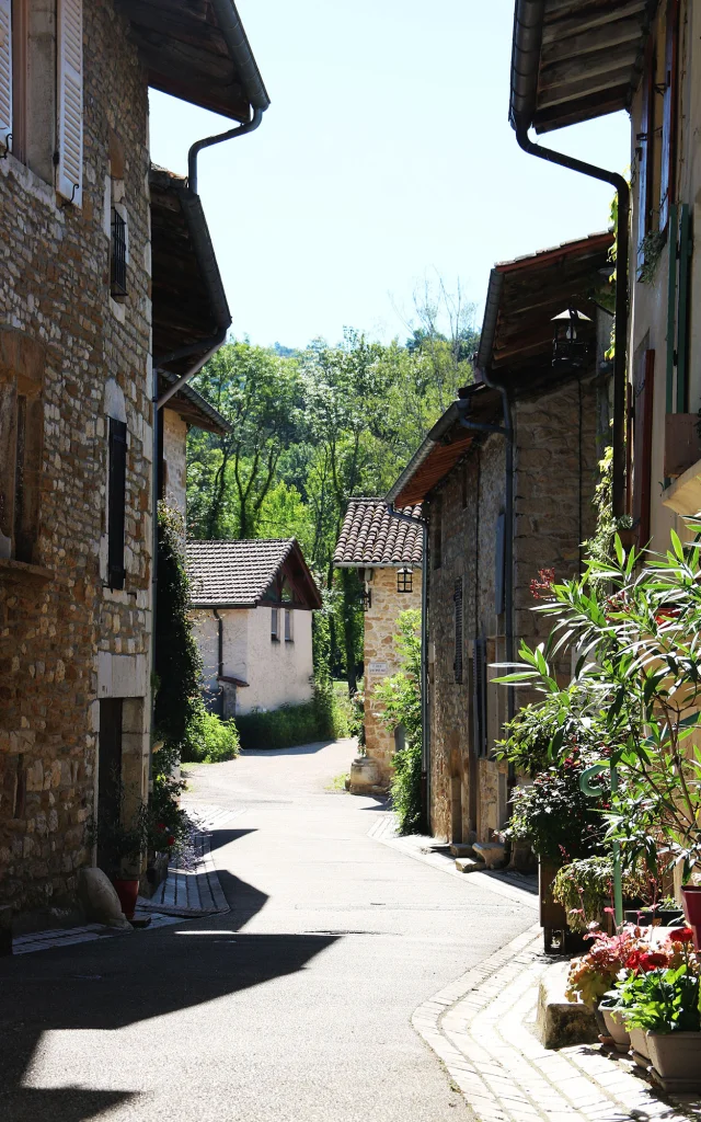 Dorf Treffort