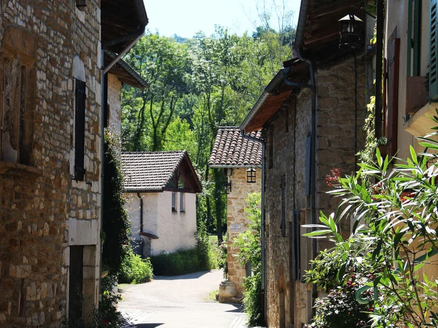Village of Treffort
