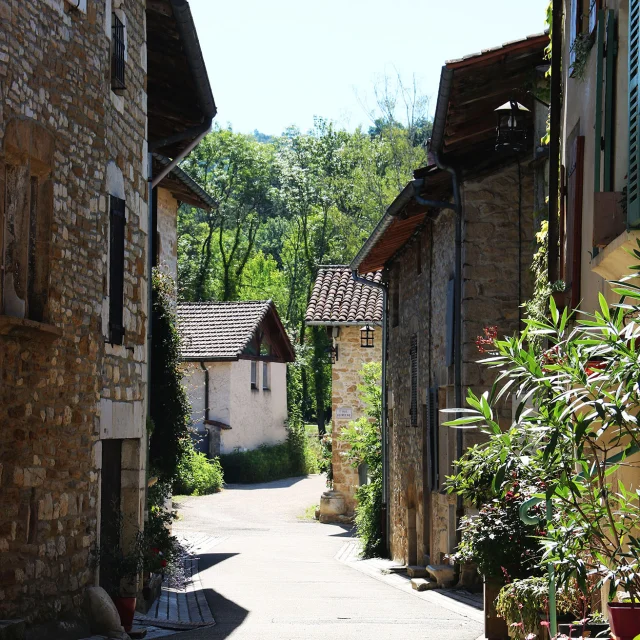 Village de Treffort