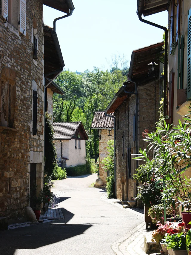 Village de Treffort
