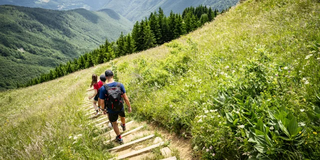 Wandern Gruppe und Landschaft