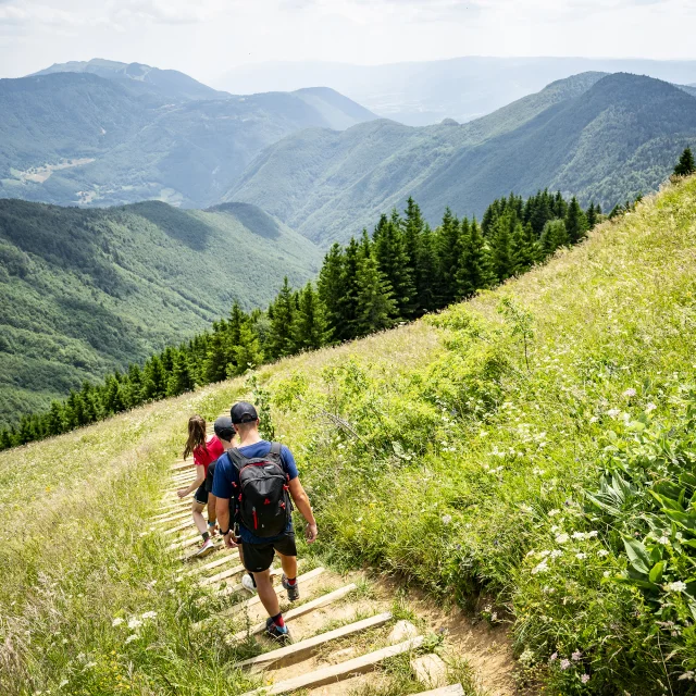 Group hiking and landscape