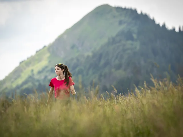 Wandern Sommer