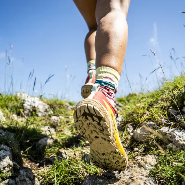 Randonnée sportive