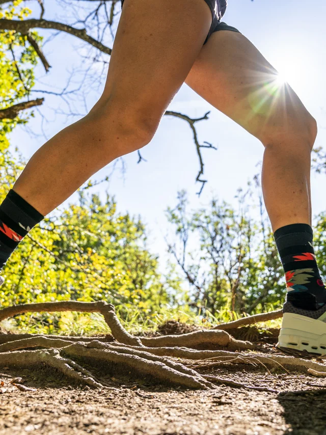 Randonnée Trail