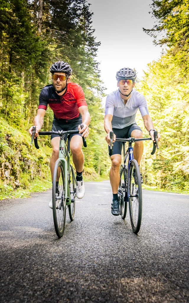 Vélo Sportif