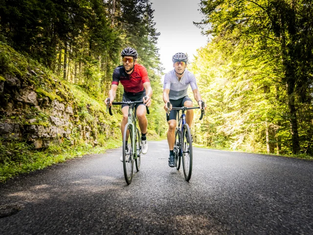 Vélo Sportif