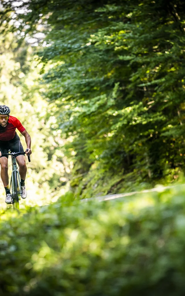 Vélo Sportif