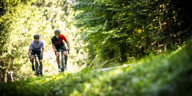 Vélo Sportif