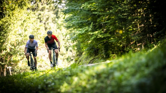 Vélo Sportif