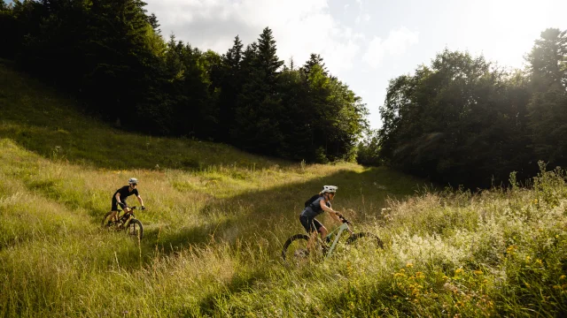 VTT en pleine nature