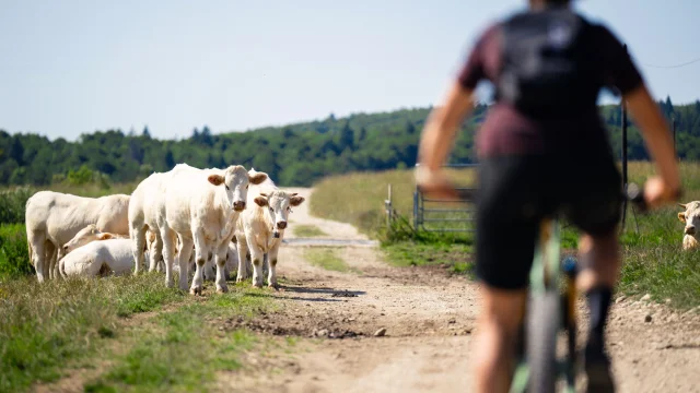 VTT à la campagne