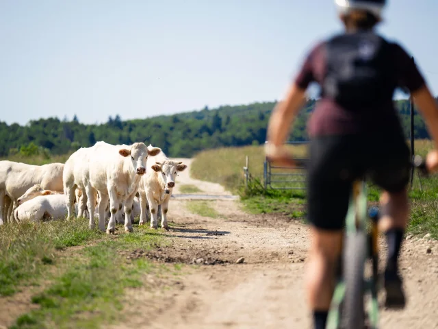 VTT à la campagne