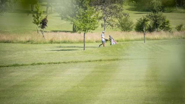 Golf de Gonville