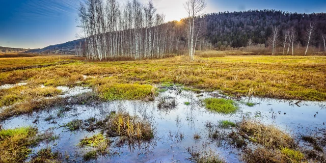 Das Marais de Vaux auf dem Plateau d'Hauteville, das mit dem Gütesiegel für internationale Bedeutung ausgezeichnet wurde