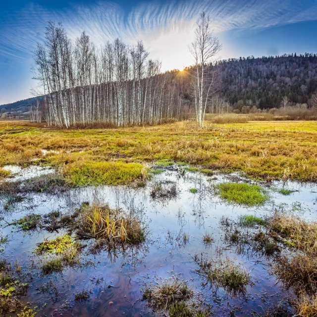 The Marais de Vaux on the Plateau d'Hauteville, recognized for its international importance
