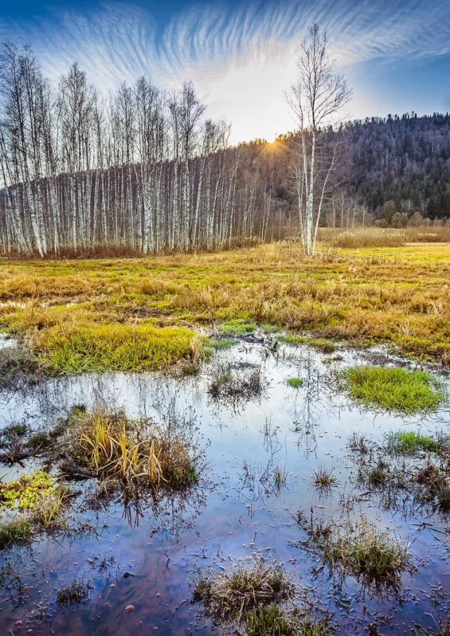 The Marais de Vaux on the Plateau d'Hauteville, recognized for its international importance