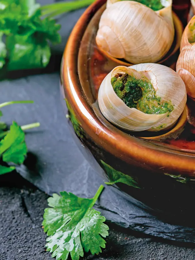 Plat d'escargots