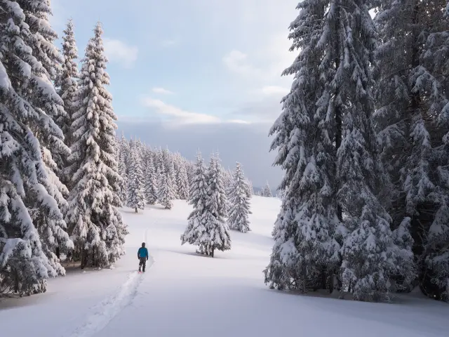 Outdoor Cross-country skiing