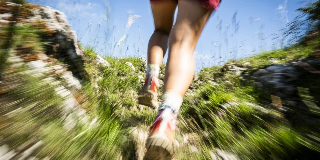 Trail au Grand Colombier