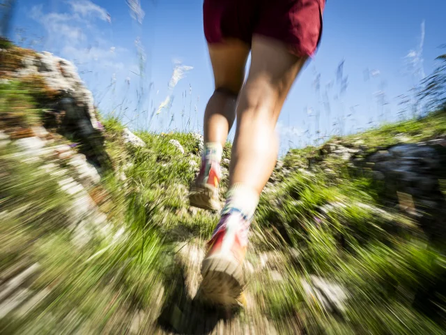 Trail am Grand Colombier