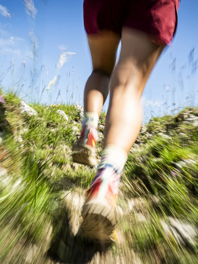 Trail au Grand Colombier