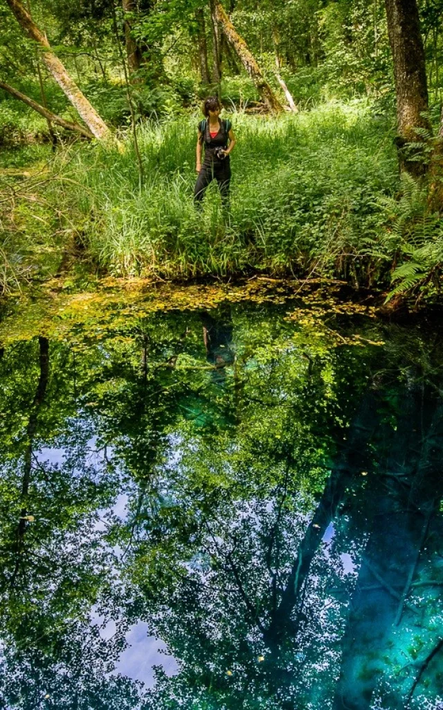 Le Marais de Lavours, 200 résurgences d’eau pure