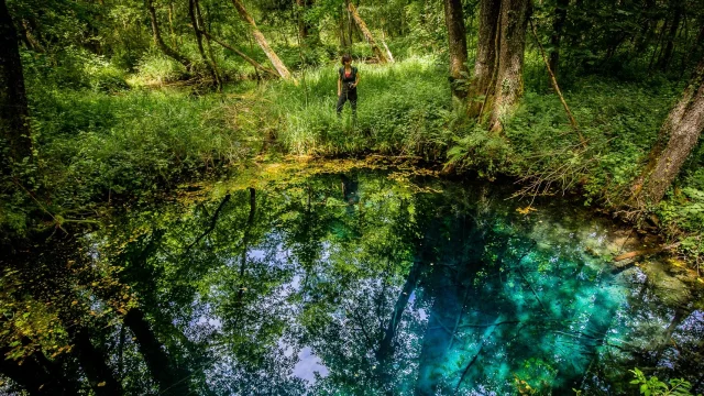 Le Marais de Lavours, 200 résurgences d’eau pure