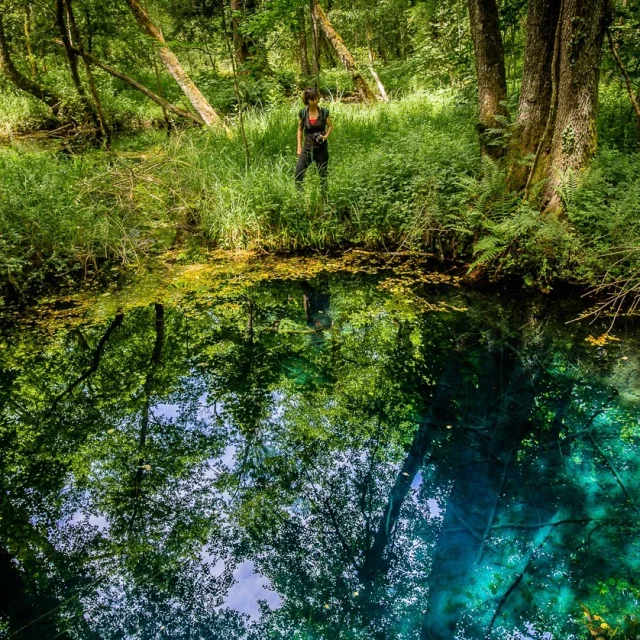 Le Marais de Lavours, 200 résurgences d’eau pure