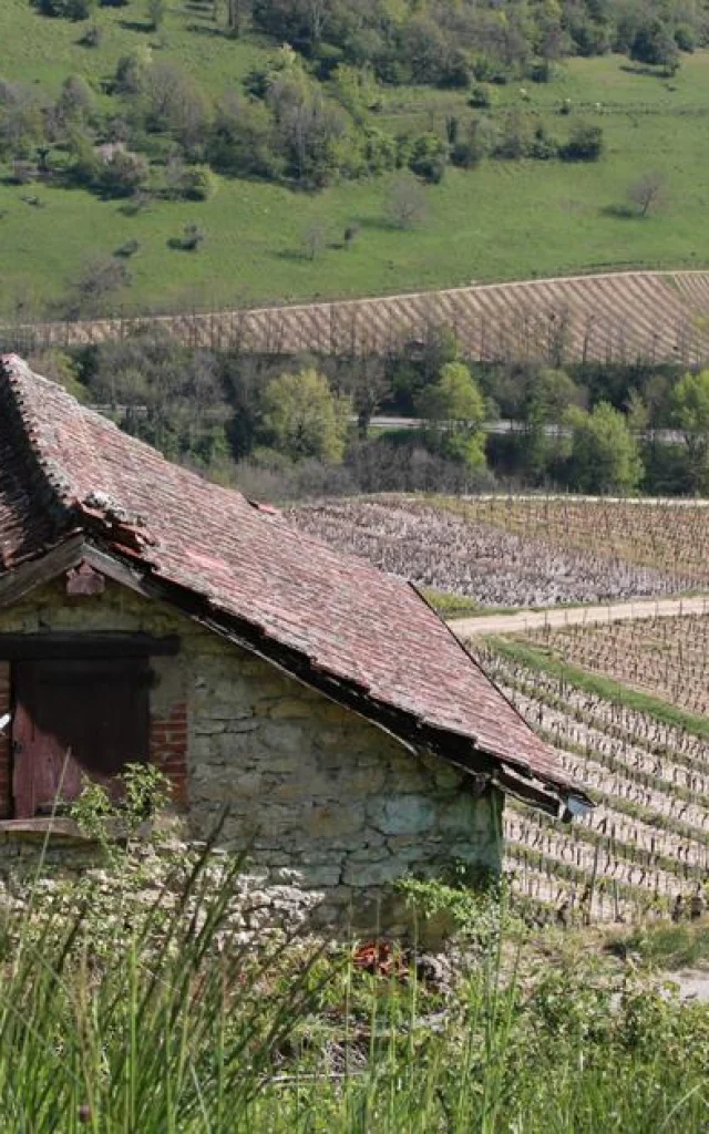 Grangeon in den Weinbergen von Bugey