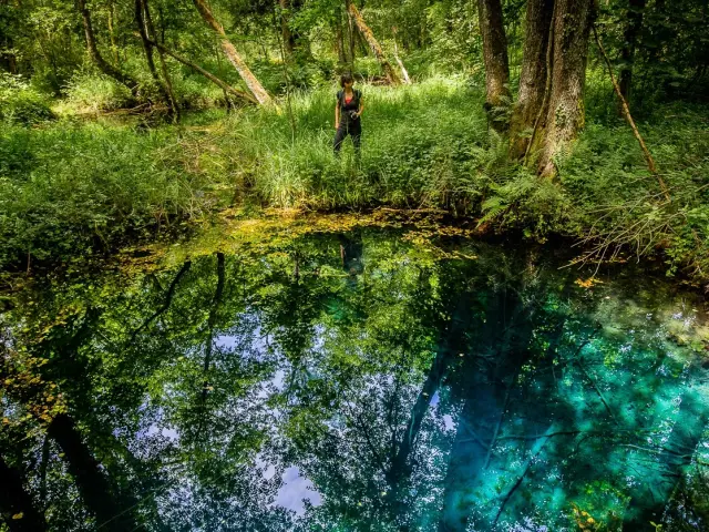 Le Marais de Lavours, 200 résurgences d’eau pure