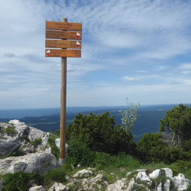 Balisage au sommet du Crêt de la Neige, le plus haut sommet jurassien