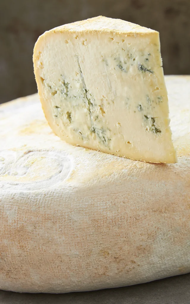 Fromage Bleu de Gex AOP