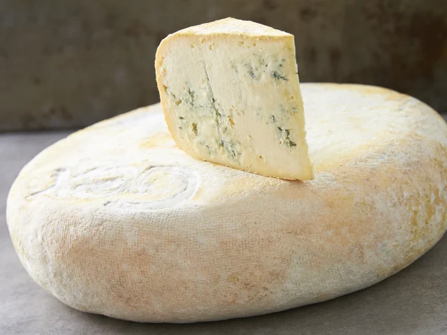 Bleu de Gex-Käse AOP
