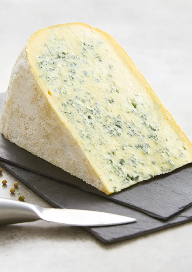 Bleu de Gex-Käse AOP