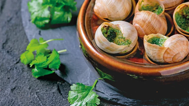 Plat d'escargots