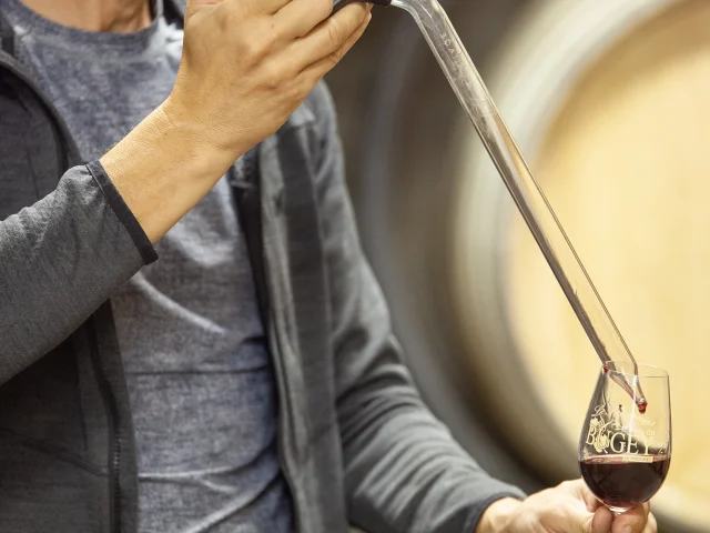 Vigneron du Bugey