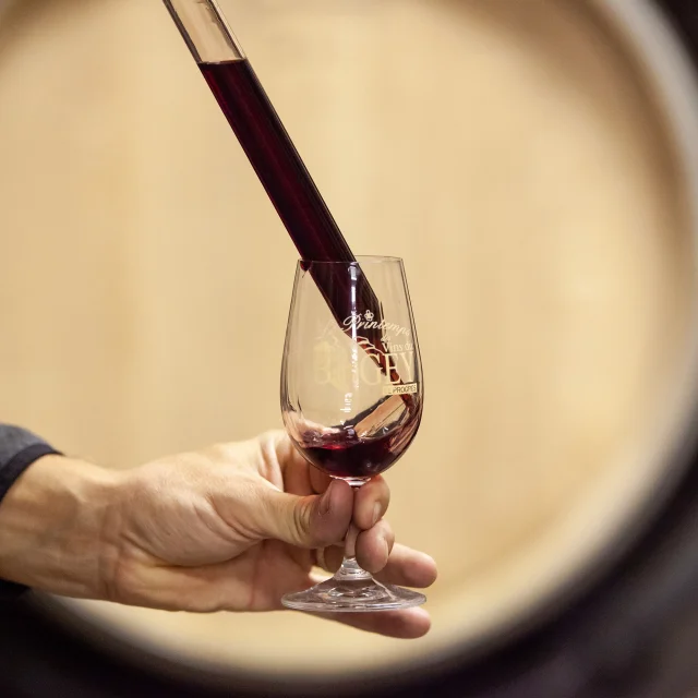 Bugey winemaker