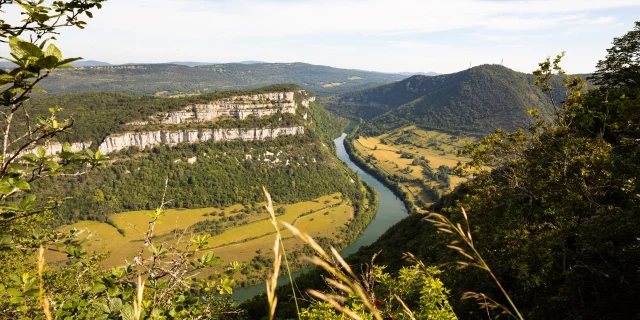 Gorges de l'Ain vues du Mont Balvay