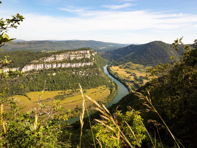Gorges de l'Ain vues du Mont Balvay