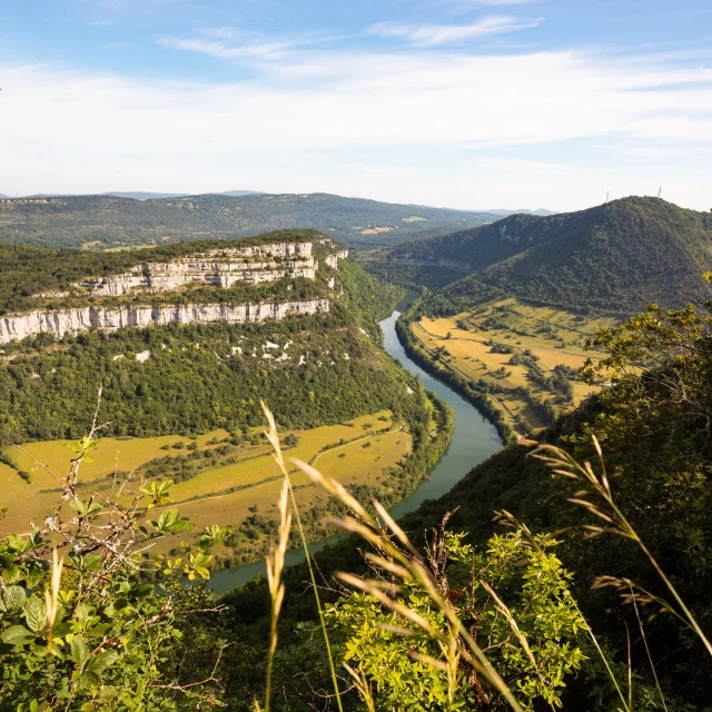 Gorges de l'Ain vues du Mont Balvay