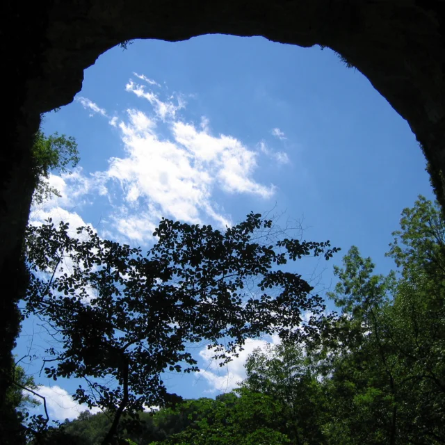 Corveissiat cave
