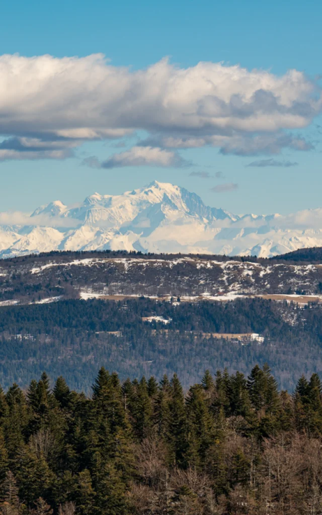 Vue du Belvédère de Planachat, sur le Plateau d'Hauteville