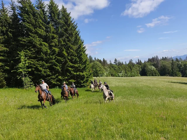 Outdoor, équitation ballade à Marboz