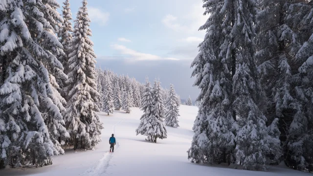 Outdoor Ski de fond